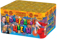 Новогодние цветы Фейерверк купить в Бородино | borodino.salutsklad.ru