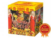 Красивая жизнь Фейерверк купить в Бородино | borodino.salutsklad.ru