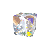 Новогодняя ночь Салют купить в Бородино | borodino.salutsklad.ru