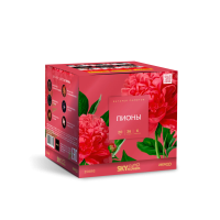 Пионы Салют купить в Бородино | borodino.salutsklad.ru