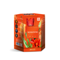 Тюльпаны Салют купить в Бородино | borodino.salutsklad.ru