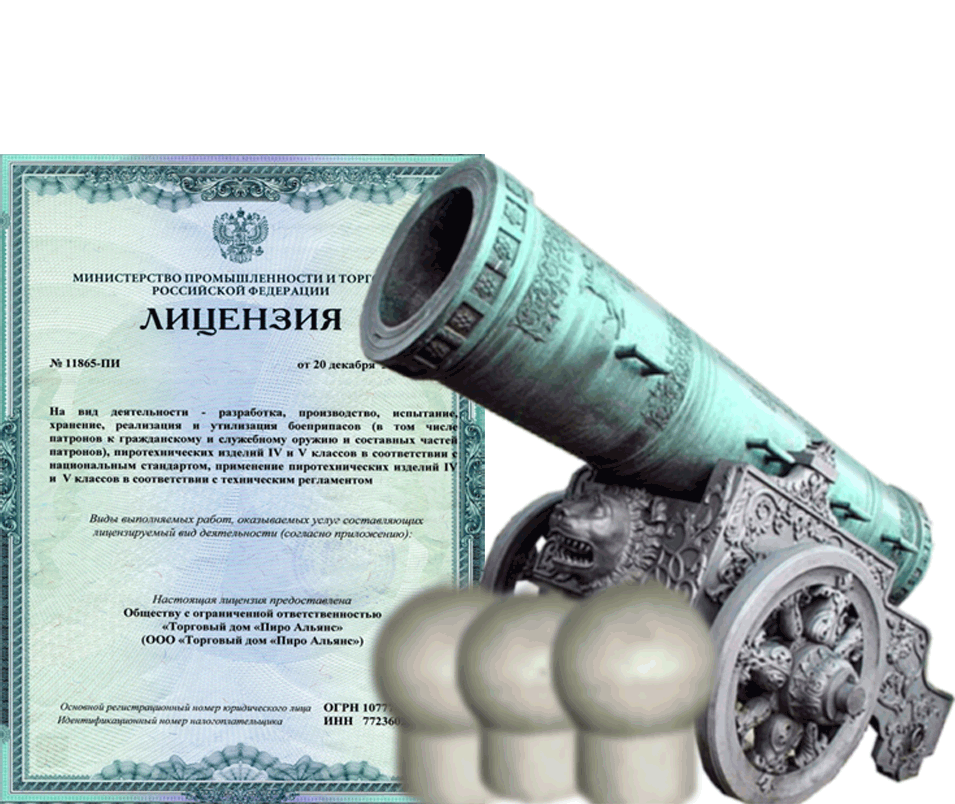 Заказать фейерверк на Новый Год - салют в Бородино