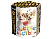 Счастье есть! Салют купить в Бородино | borodino.salutsklad.ru