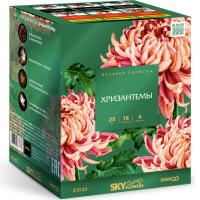 Хризантемы Фейерверк купить в Бородино | borodino.salutsklad.ru