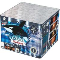 Косатка Фейерверк купить в Бородино | borodino.salutsklad.ru