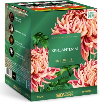 Хризантемы Фейерверк купить в Бородино | borodino.salutsklad.ru