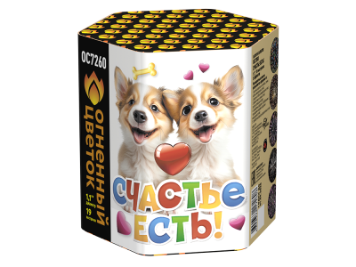 Счастье есть! Салют купить в Бородино | borodino.salutsklad.ru